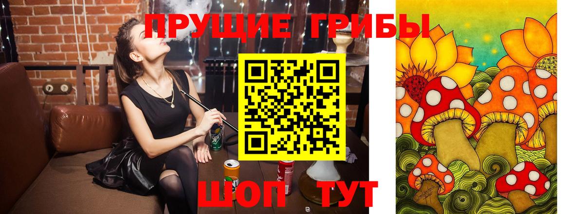 Псилоцибиновые грибы Magic Shrooms  Вход с VPN  Владимир 