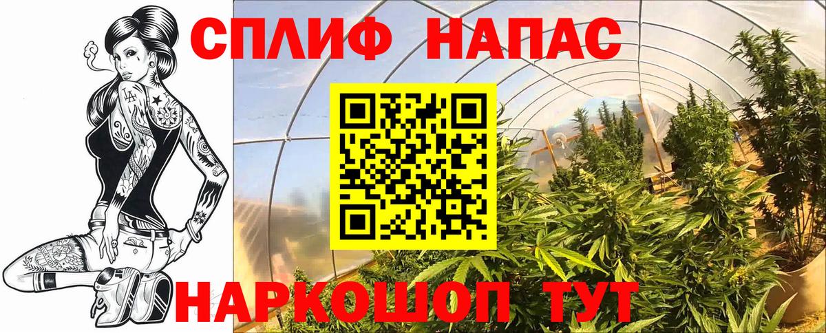 Бошки Шишки конопля  Каннабис White Widow  Владимир  Вход с VPN 